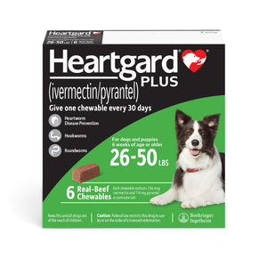 Heartgard Plus Chewable