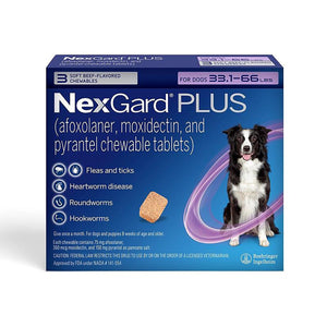Nexgard Plus Chew