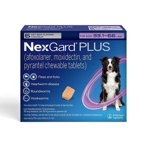 Nexgard Plus Chew