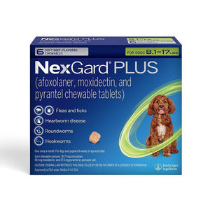 Nexgard Plus Chew