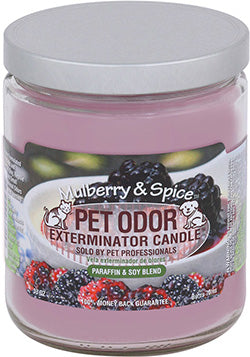 Odor Exterminator Candle Mulberry and Spice