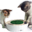 Kitty Connection Bluetooth Burrow Mouse