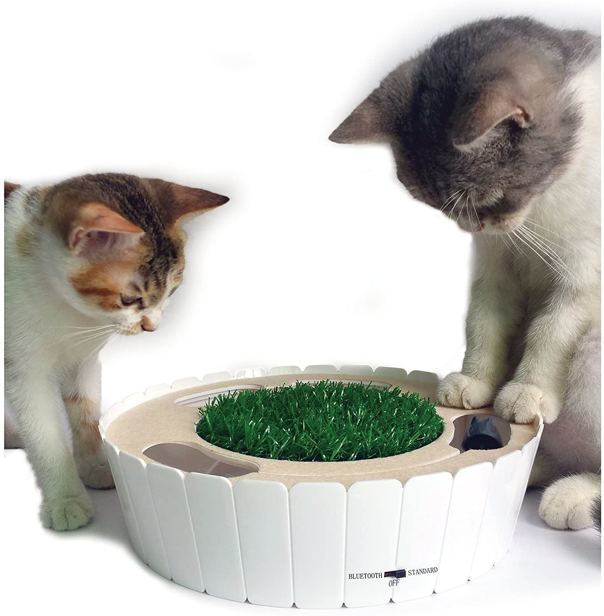 Kitty Connection Bluetooth Burrow Mouse