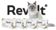 Load image into Gallery viewer, Revolt Topical Solution for Cats (generic Revolution)
