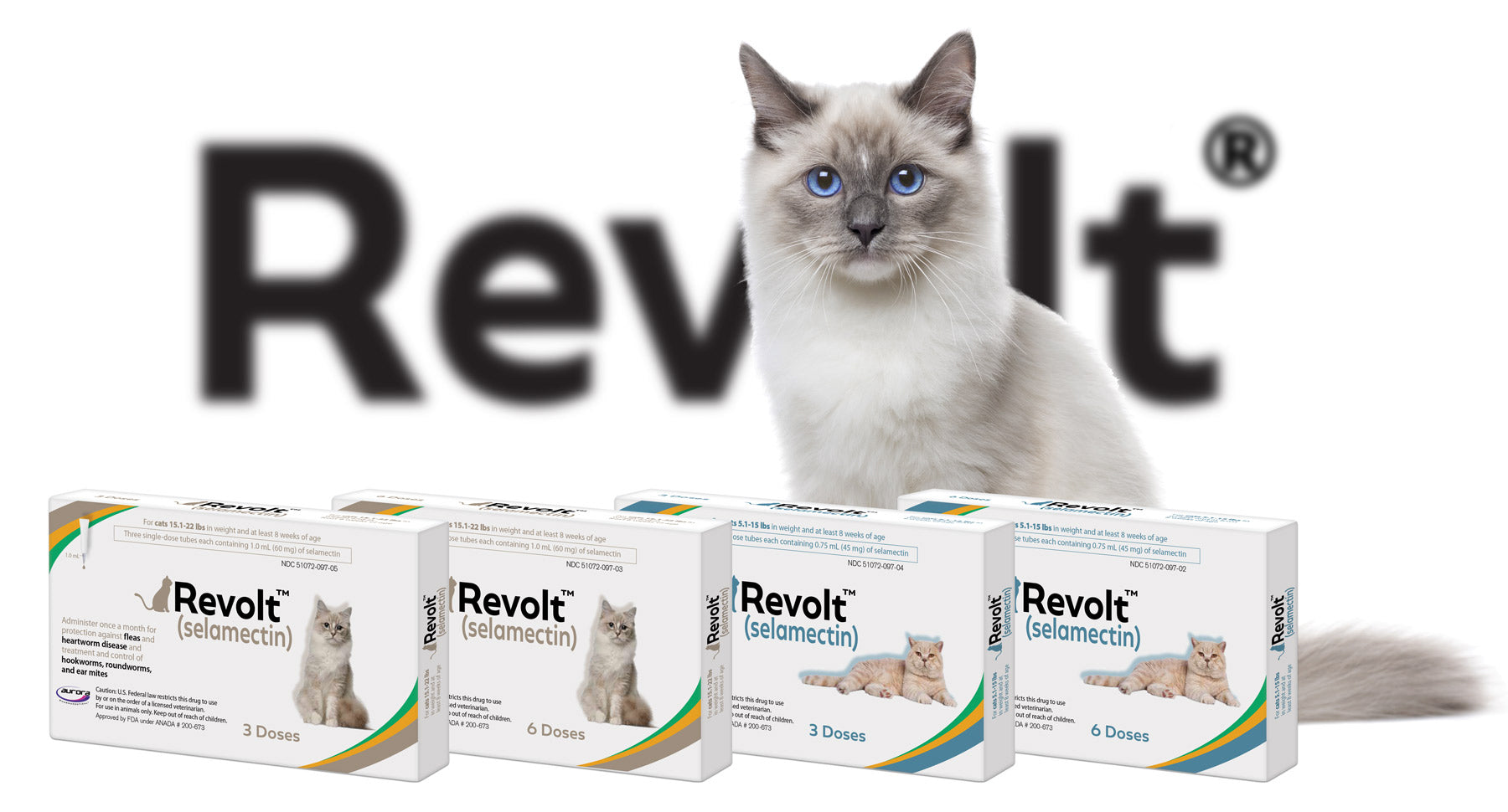 Revolt Topical Solution for Cats (generic Revolution) – Creature