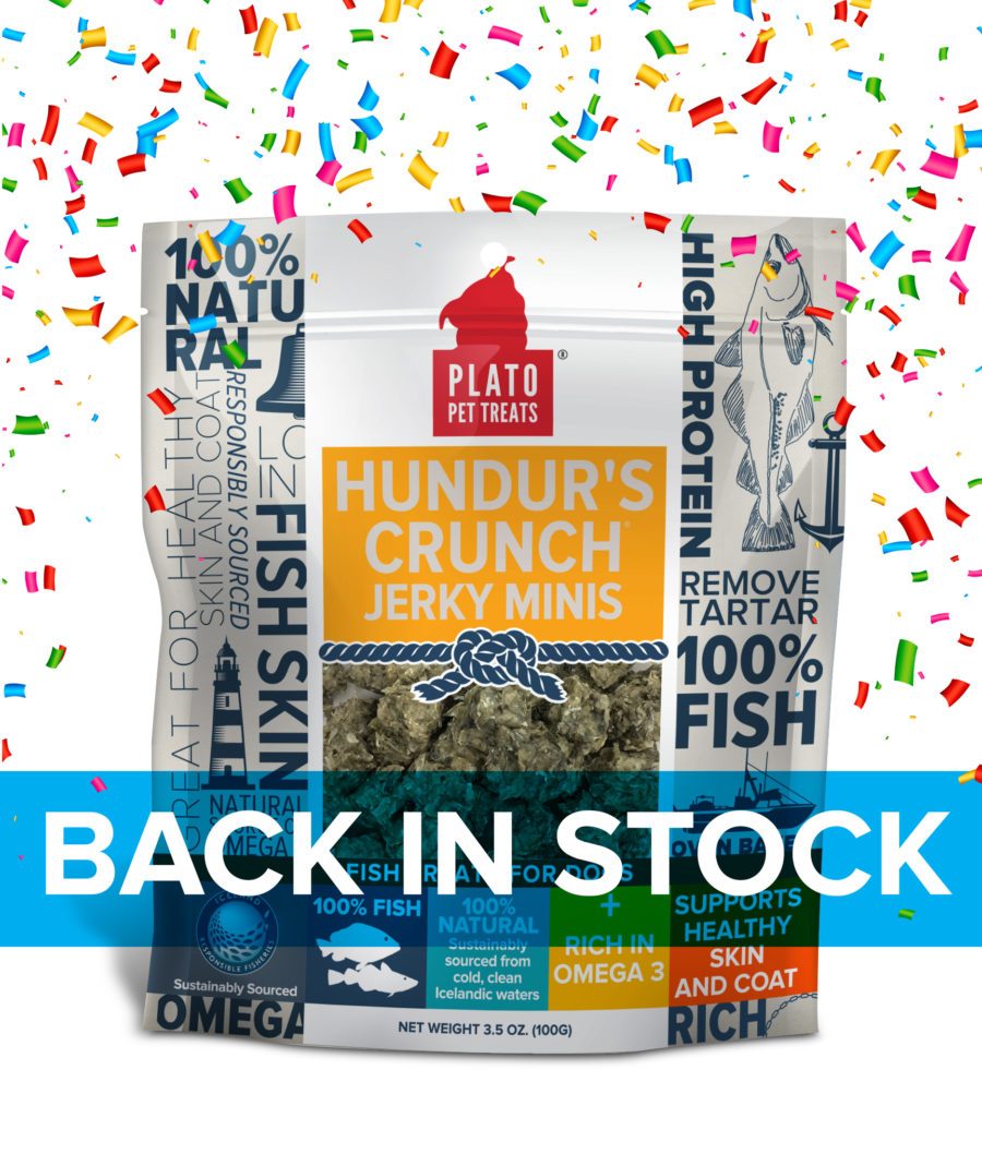 Hundur's crunch fish outlet treats