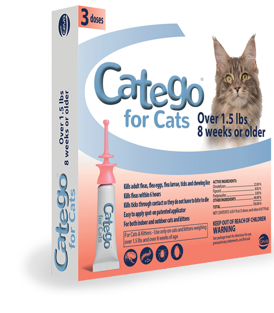 Catego for Cats