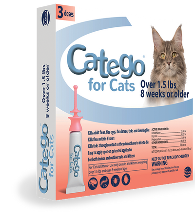 Catego for Cats