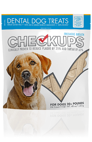 Checkups Dental Treats