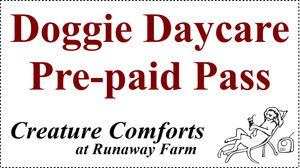 Doggie Daycare Pass