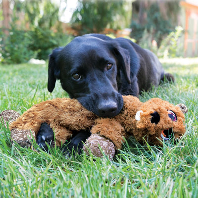 Kong Flopzie Low Stuff Dog Toys