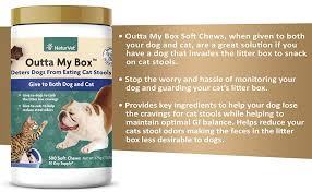 Outta My Box Deterrant Dog & Cat 500ct