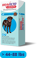 Bravecto 1-MONTH Chewable for Dogs