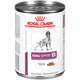 Royal Canin Renal Support D (thin slices in gravy) 13oz can