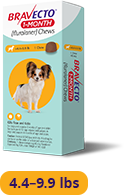 Bravecto 1-MONTH Chewable for Dogs